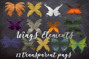 FANTASY TRANSPARENT WINGS ELEMENTS PACK PNGS