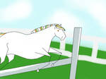 Show Jumping by Anchoraged