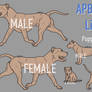Apbt Lines | P2U