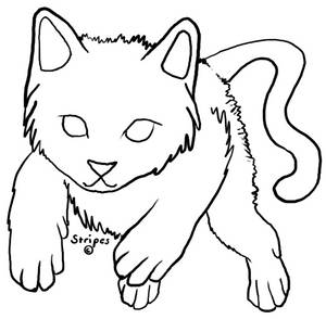 Kitten lineart