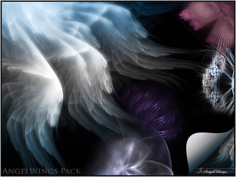 AngelWings Pack