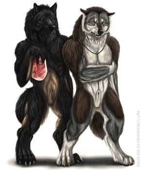 Werewolf Tale II - Sample Chapters - Final