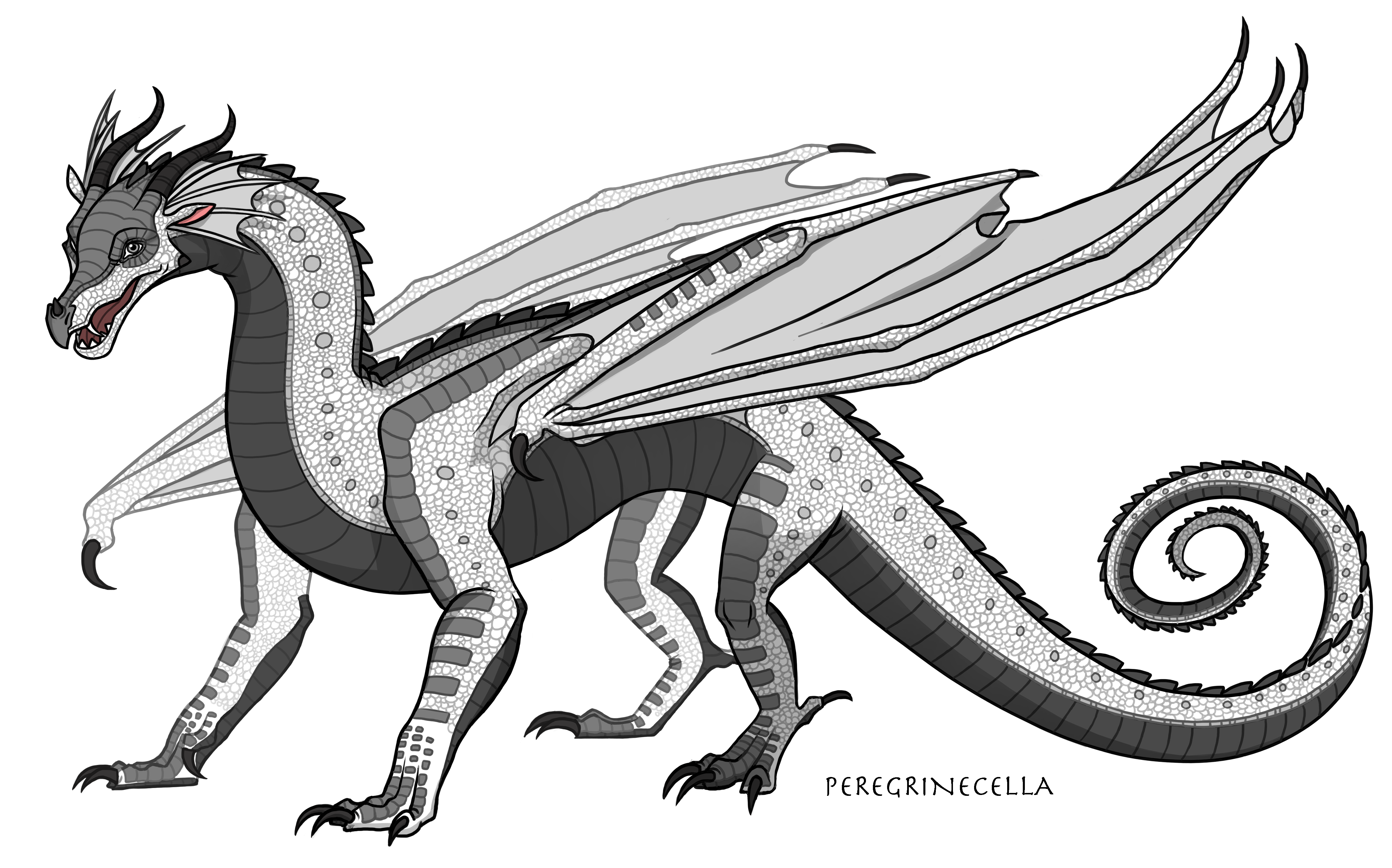 Peregrine's RainWing Base (PSD Version) by Skyify on DeviantArt