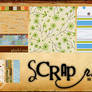 Scrap Pack 06