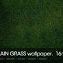 Plain Grass