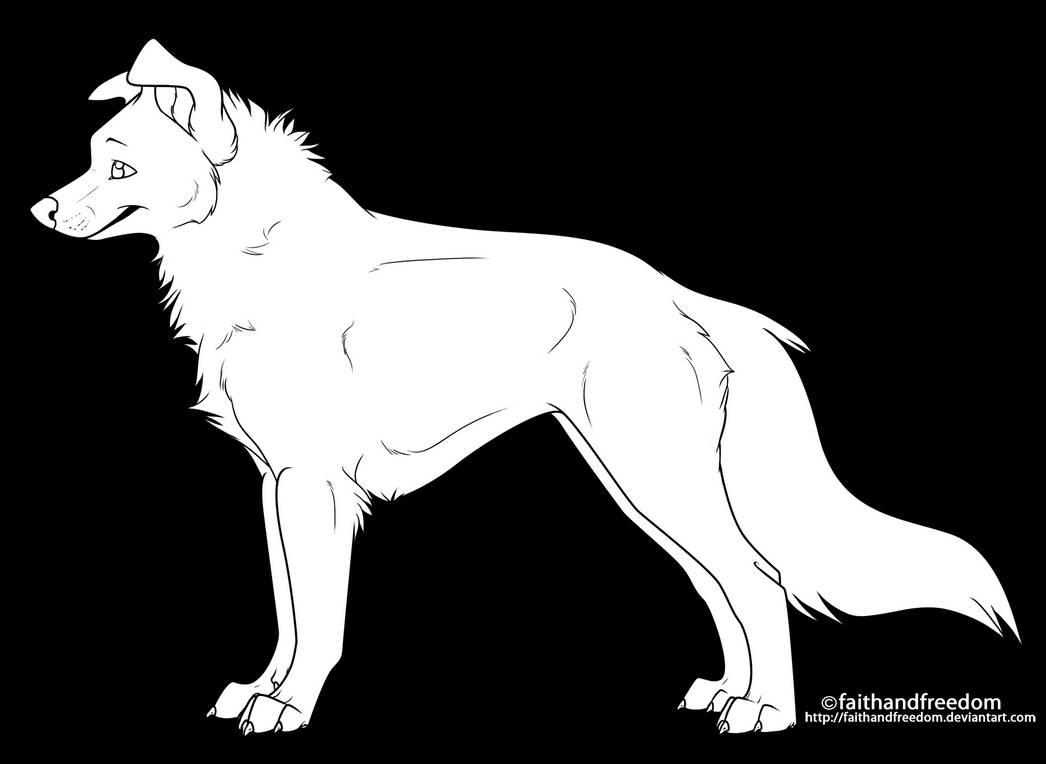 line drawing border collie