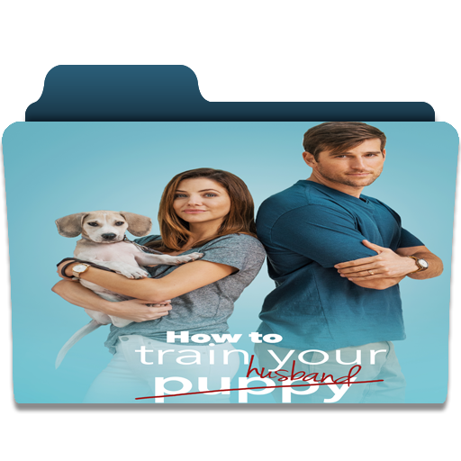 How To Train Your Husband Movie Folder Icon By Tachibanaetsuko On