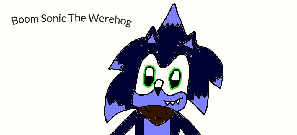 Boom Sonic The Werehog by SonicTheCoolHog123 on DeviantArt