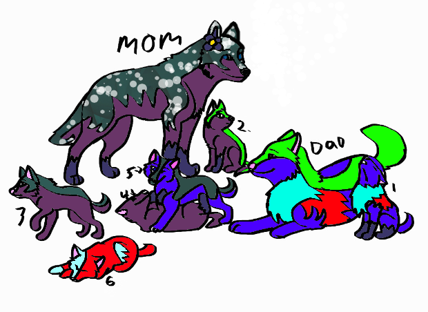 Wolf adopts-OPEN-Extremely low prices!!!