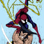 Spidey v. Wolverine