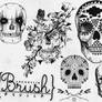 Skulls - Brush