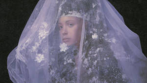 Succulent Demeanor_Pinkasso Band_Sta.sh