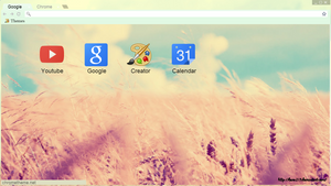 Chrome theme