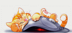 kitten by dielectric-m