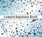 Leapard Appaloosa Brush