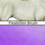 Fleabitten Brush