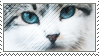 Blue Eyed Cat Stamp by tennyomelime