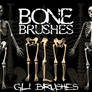 bone brushes