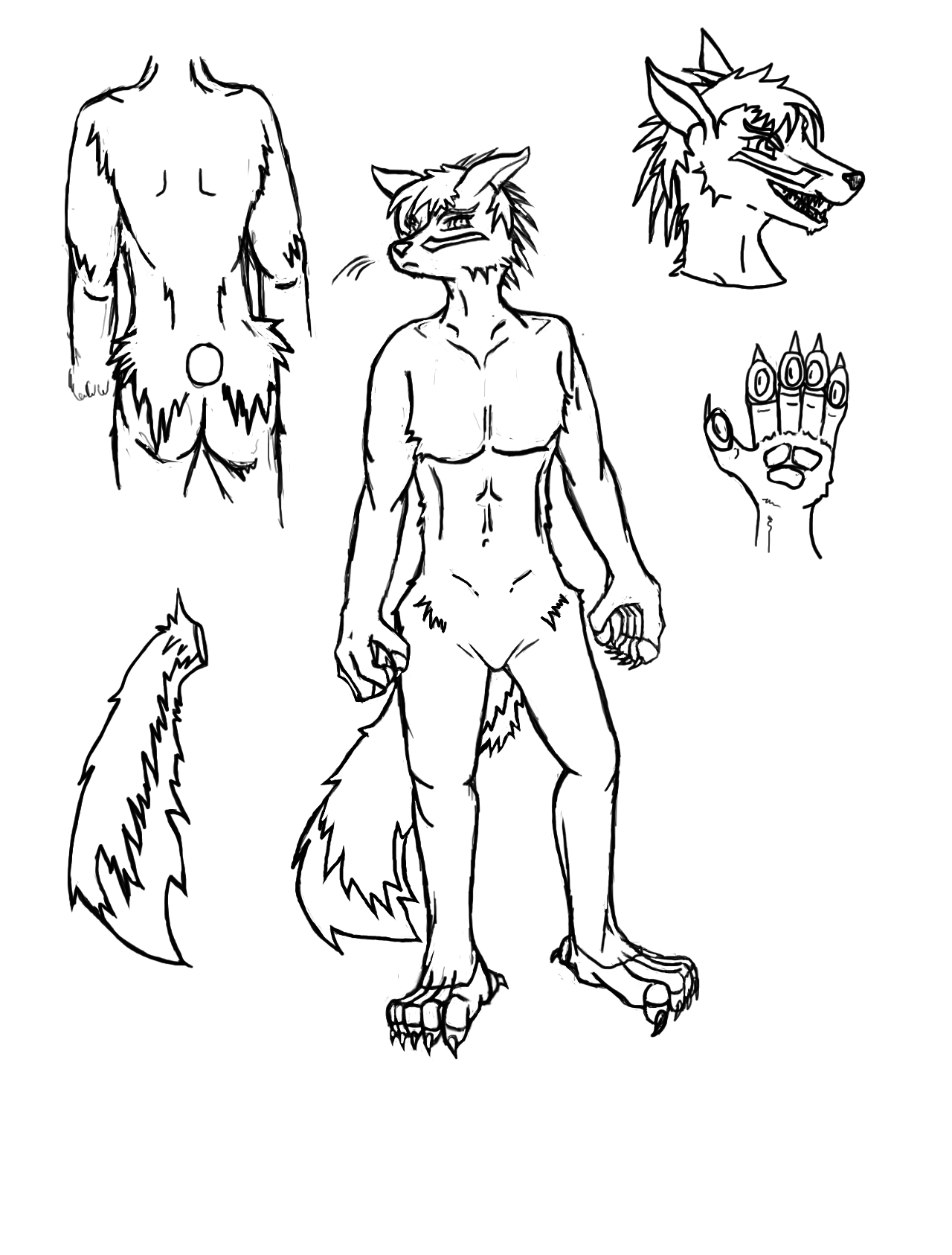 Featured image of post Furry Wolf Template