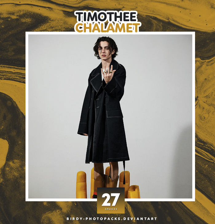 Photopack 2951 - Timothee Chalamet