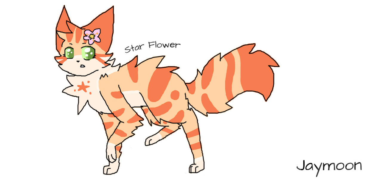 Star Flower by Jaymoon2007 on DeviantArt