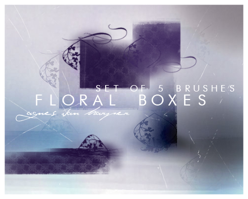 Floral Boxes by agnesvanharper