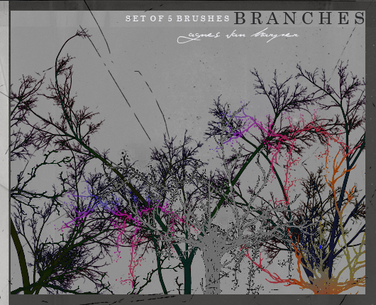Branches