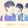 PNGPACK ~ WANGYUAN  ~