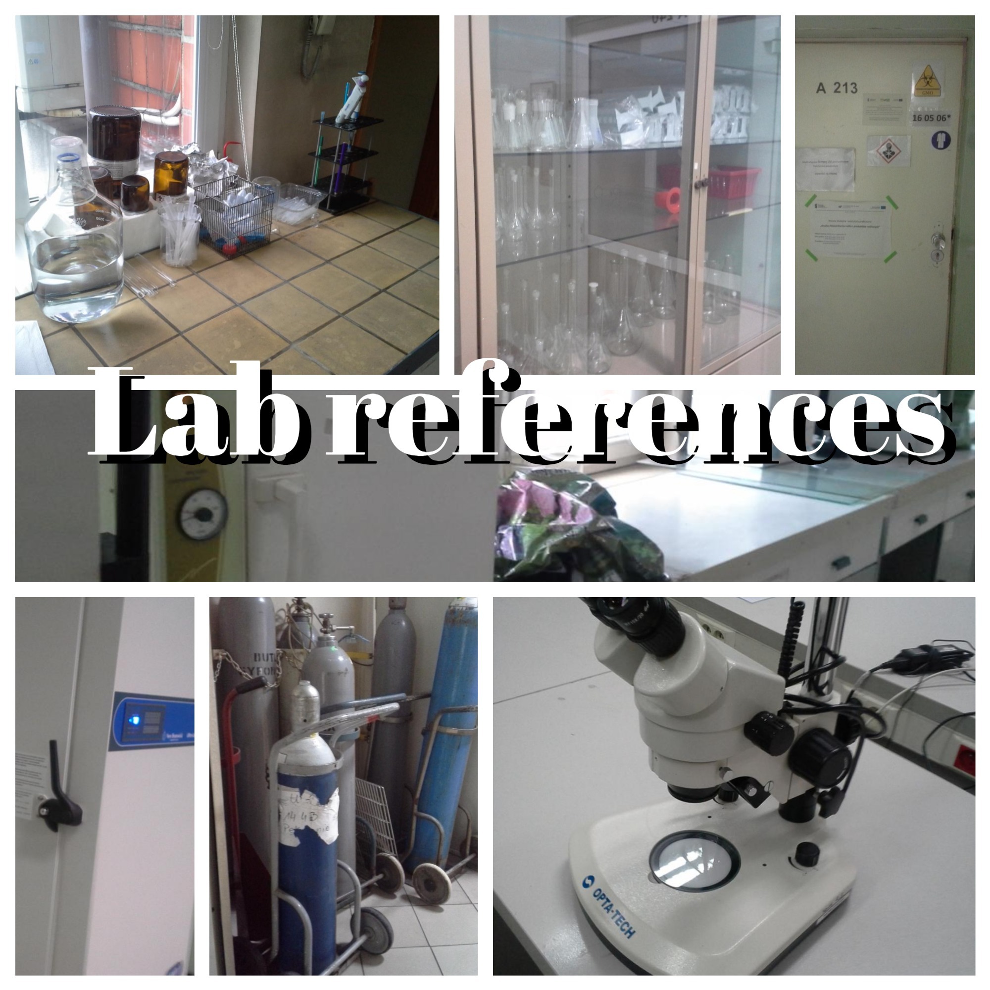 Lab references snapshoots by Akaszik on DeviantArt