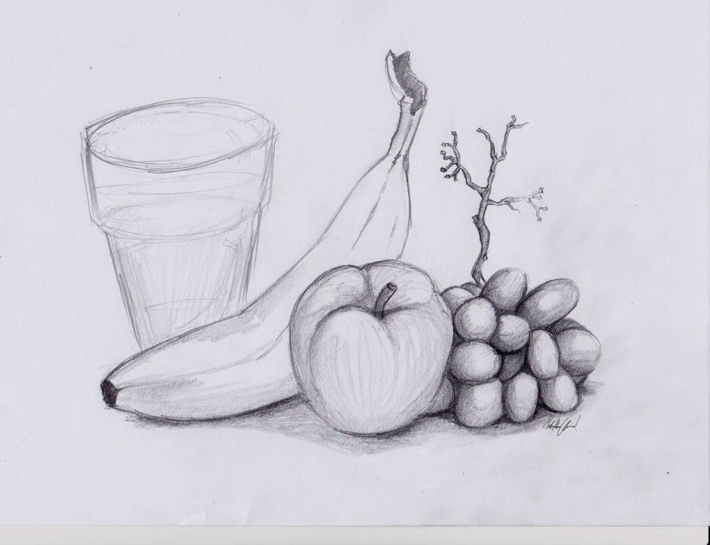 Still Life Drawing for Beginners Easy Step by Step with Pencil Shading |  How To Draw a Jug, Grapes - YouTube