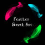 Feather Brush Set