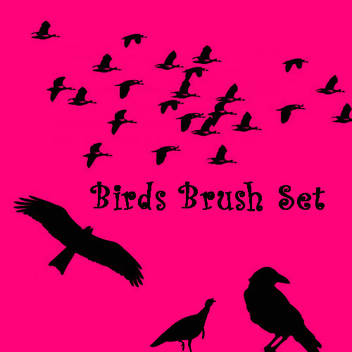 Birds Brush Set by eMelody on DeviantArt