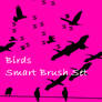 Birds Smart Brush Set
