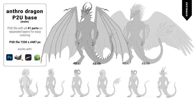Dragon Anthro Base (Male) with parts
