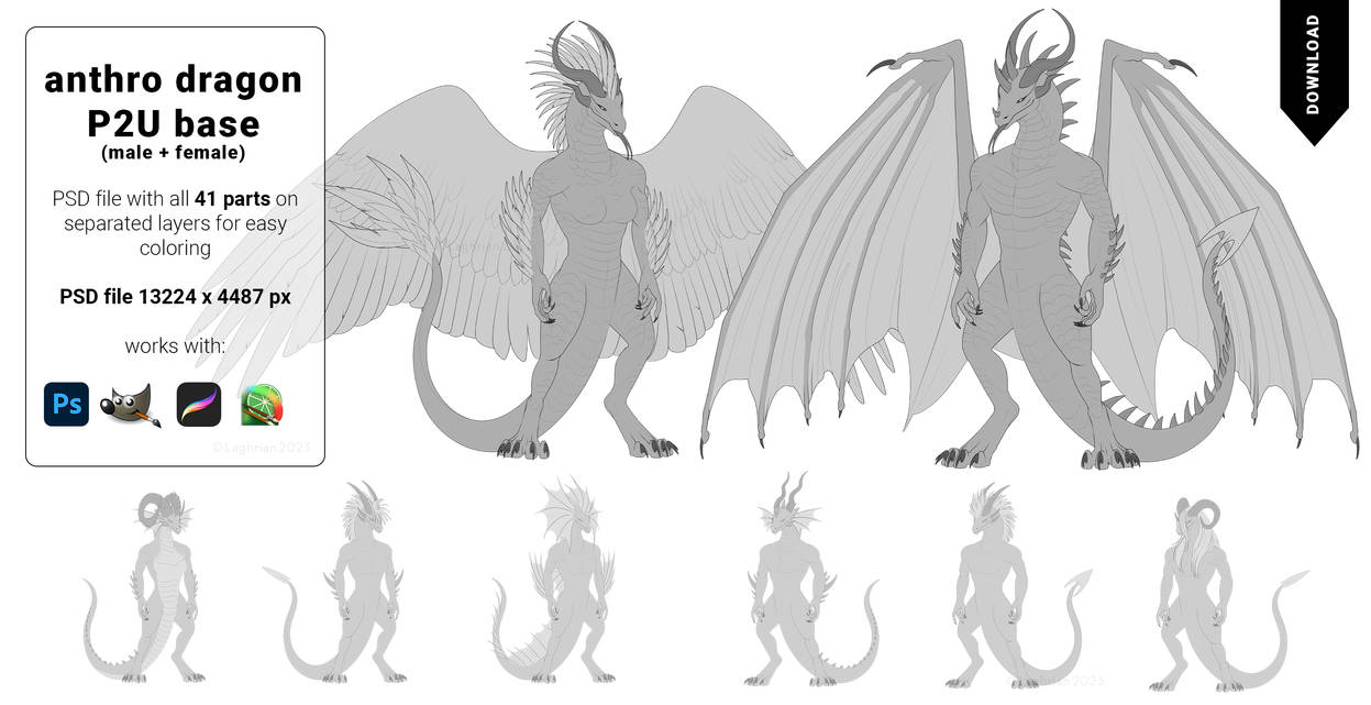Dragon Anthro Base Male + Female with parts by Laghrian on DeviantArt