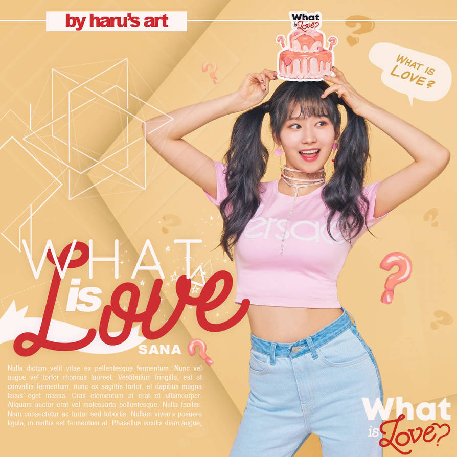TWICE サナ フォトブック 写真集 What is Love? TWICE サナ What is love? K-POP・アジア
