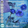 Blue Roses bleues PNG :Stock: