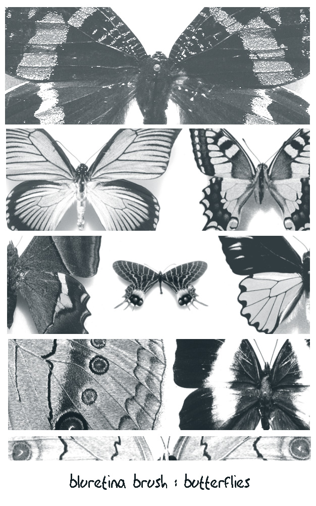 bluretina brush:butterflies