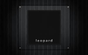 Leopard Login Background