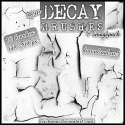 Decay Brushes BEST