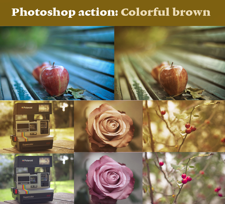 Colorful brown by Pamba