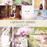 Lovely pink lightroom presets by Pamba