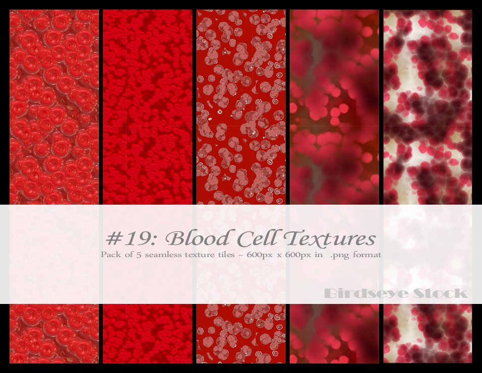 Blood Cell Textures by BirdseyeStock