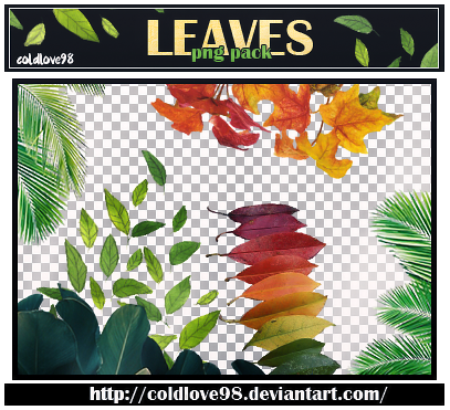 Leaves Png's Pack | ColdLove98