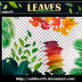 Leaves Png's Pack | ColdLove98