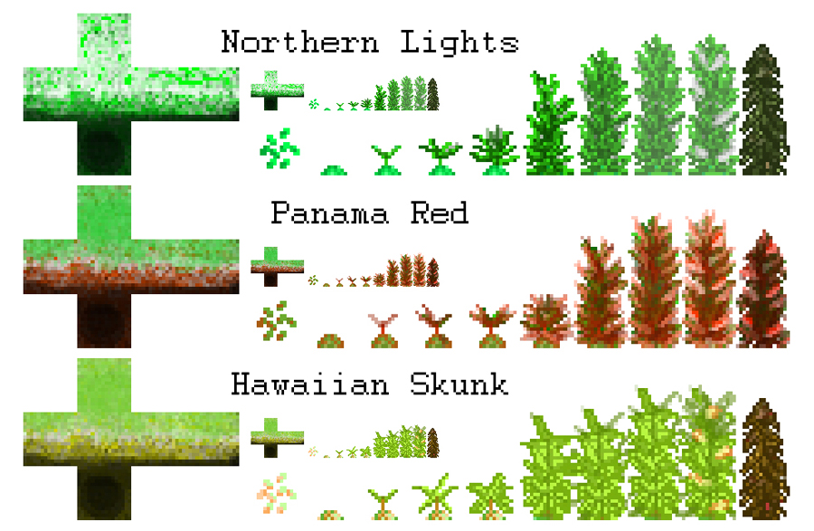 Minecraft Plants by FerretJAcK on DeviantArt