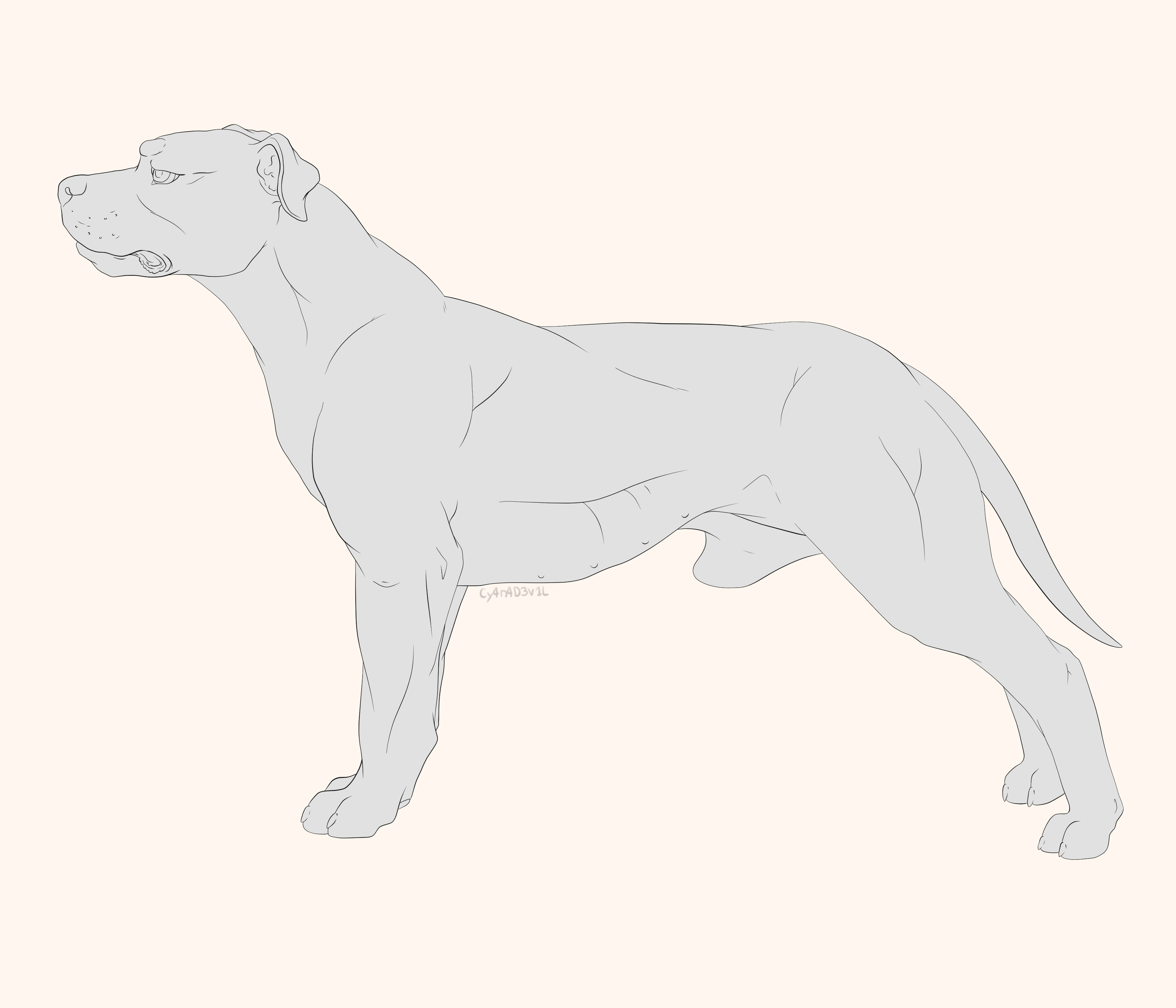 APBT Lines - F2U by MonsterAmBullies on DeviantArt
