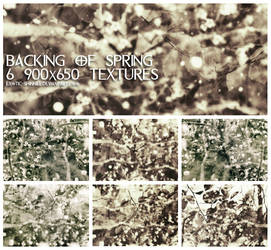 Backing Of Spring - Texture Set