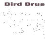 Bird Brush