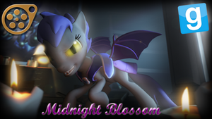 Midnight Blossom (MLP) for SFM  and Garrysmod